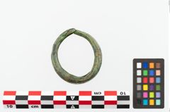 Foto von Bronzekopfschmuckring (NHMW-PRAE-048350)